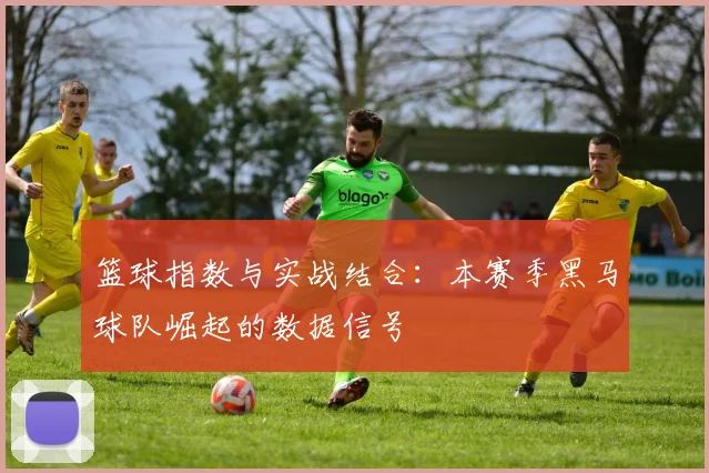 篮球指数与实战结合：本赛季黑马球队崛起的数据信号