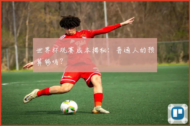 世界杯观赛成本揭秘:普通人的预算够吗?