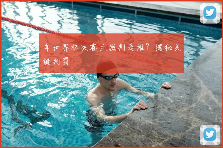 年世界杯决赛主裁判是谁？揭秘关键判罚