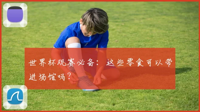 世界杯观赛必备:这些零食可以带进场馆吗?